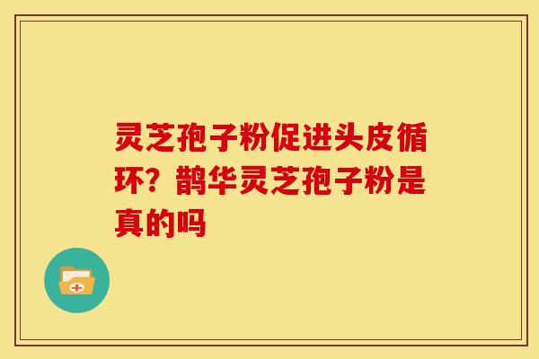 灵芝孢子粉促进头皮循环?鹊华灵芝孢子粉是真的吗 灵芝孢子粉促进头皮循环?鹊华灵芝孢子粉是真的吗