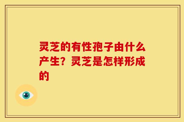 灵芝的有性孢子由什么产生？灵芝是怎样形成的