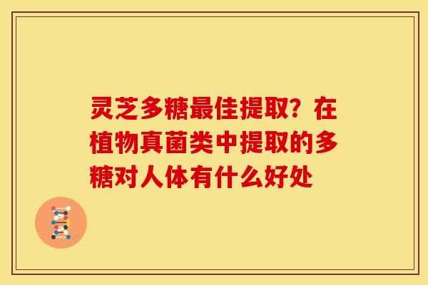 灵芝多糖佳提取?在植物真菌类中提取的多糖对人体有什么好处 灵芝多糖佳提取?在植物真菌类中提取的多糖对人体有什么好处