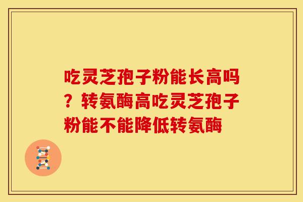 吃灵芝孢子粉能长高吗?转氨酶高吃灵芝孢子粉能不能降低转氨酶 吃灵芝孢子粉能长高吗?转氨酶高吃灵芝孢子粉能不能降低转氨酶