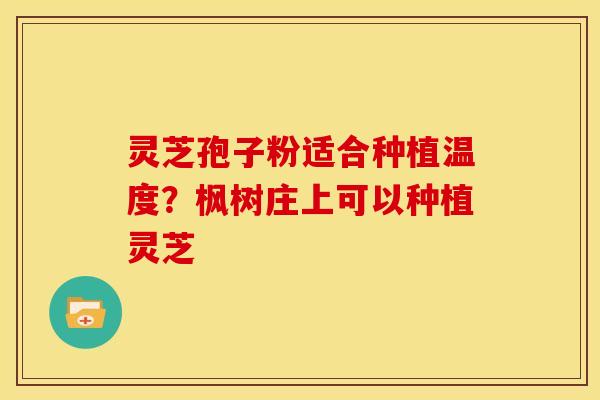 灵芝孢子粉适合种植温度?枫树庄上可以种植灵芝 灵芝孢子粉适合种植温度?枫树庄上可以种植灵芝