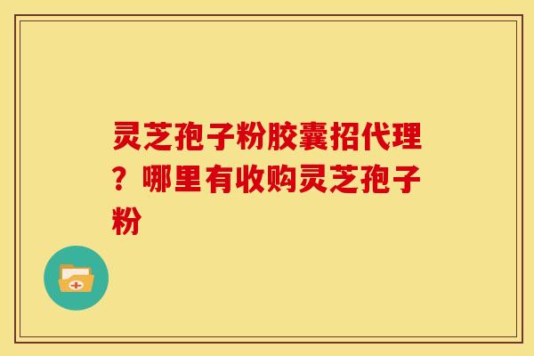 灵芝孢子粉胶囊招代理?哪里有收购灵芝孢子粉 灵芝孢子粉胶囊招代理?哪里有收购灵芝孢子粉