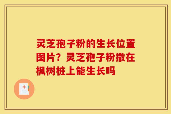 灵芝孢子粉的生长位置图片?灵芝孢子粉撒在枫树桩上能生长吗 灵芝孢子粉的生长位置图片?灵芝孢子粉撒在枫树桩上能生长吗