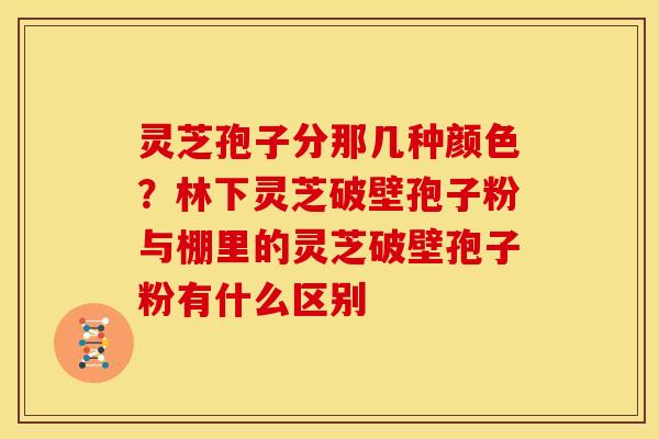 灵芝孢子分那几种颜色?林下灵芝破壁孢子粉与棚里的灵芝破壁孢子粉有什么区别 灵芝孢子分那几种颜色?林下灵芝破壁孢子粉与棚里的灵芝破壁孢子粉有什么区别