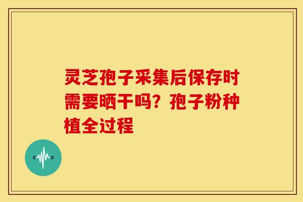 灵芝孢子采集后保存时需要晒干吗?孢子粉种植全过程 灵芝孢子采集后保存时需要晒干吗?孢子粉种植全过程