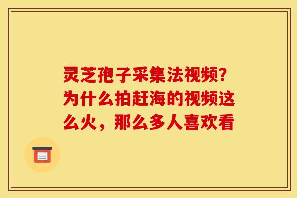 灵芝孢子采集法视频？为什么拍赶海的视频这么火，那么多人喜欢看