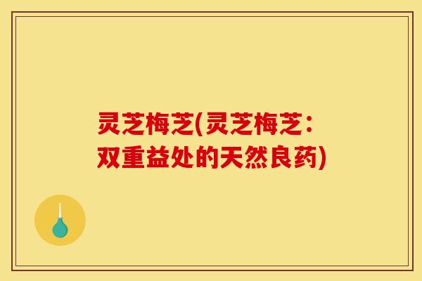 灵芝梅芝(灵芝梅芝:双重益处的天然良药) 灵芝梅芝(灵芝梅芝:双重益处的天然良药)