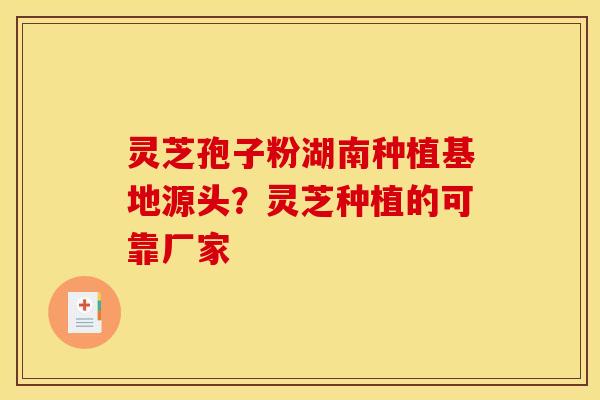 灵芝孢子粉湖南种植基地源头?灵芝种植的可靠厂家 灵芝孢子粉湖南种植基地源头?灵芝种植的可靠厂家