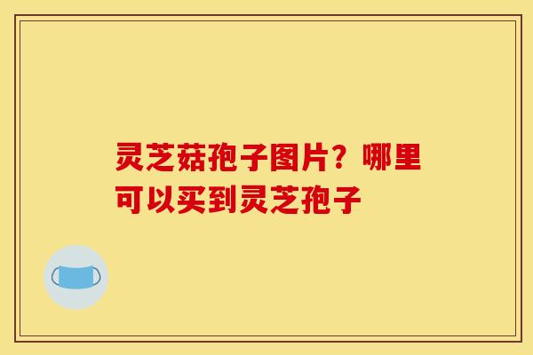 灵芝菇孢子图片?哪里可以买到灵芝孢子 灵芝菇孢子图片?哪里可以买到灵芝孢子