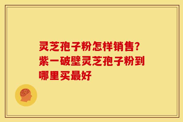 灵芝孢子粉怎样销售？紫一破壁灵芝孢子粉到哪里买好