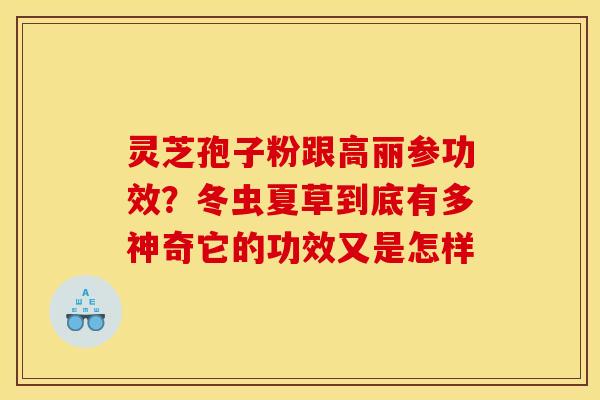 灵芝孢子粉跟高丽参功效?冬虫夏草到底有多神奇它的功效又是怎样 灵芝孢子粉跟高丽参功效?冬虫夏草到底有多神奇它的功效又是怎样