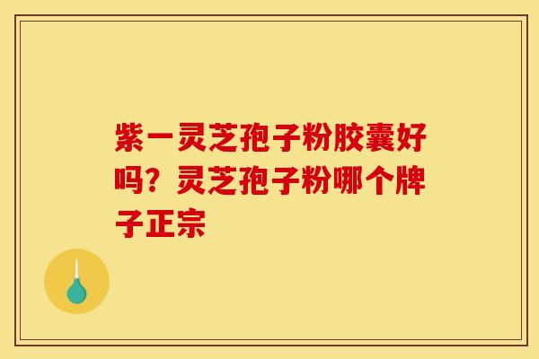 紫一灵芝孢子粉胶囊好吗?灵芝孢子粉哪个牌子正宗 紫一灵芝孢子粉胶囊好吗?灵芝孢子粉哪个牌子正宗