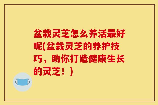 盆栽灵芝怎么养活好呢(盆栽灵芝的养护技巧，助你打造健康生长的灵芝！)
