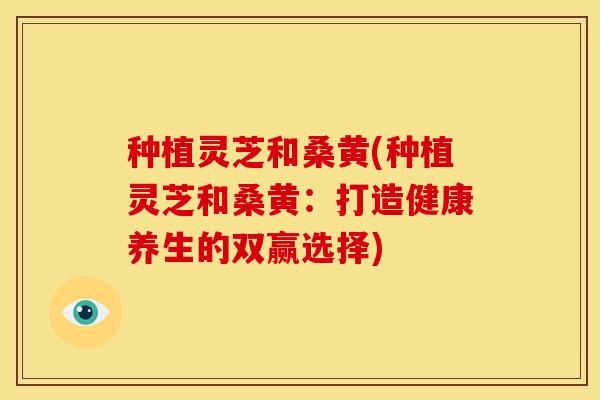 种植灵芝和桑黄(种植灵芝和桑黄:打造健康养生的双赢选择) 种植灵芝和桑黄(种植灵芝和桑黄:打造健康养生的双赢选择)