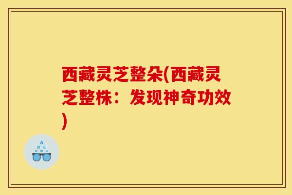 西藏灵芝整朵(西藏灵芝整株:发现神奇功效) 西藏灵芝整朵(西藏灵芝整株:发现神奇功效)