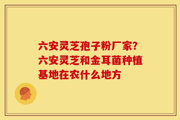 六安灵芝孢子粉厂家?六安灵芝和金耳菌种植基地在农什么地方 六安灵芝孢子粉厂家?六安灵芝和金耳菌种植基地在农什么地方