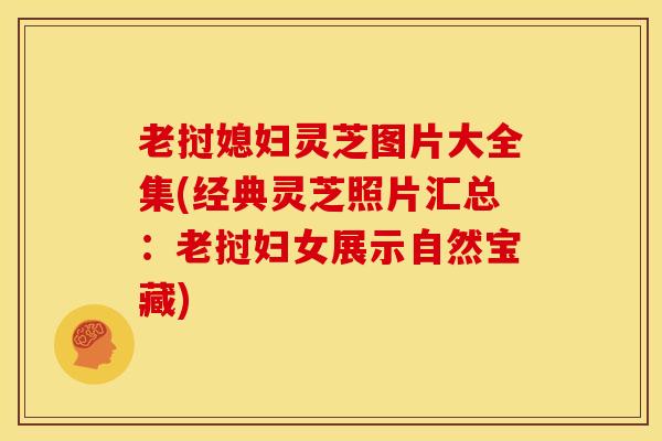 老挝媳妇灵芝图片大全集(经典灵芝照片汇总：老挝妇女展示自然宝藏)