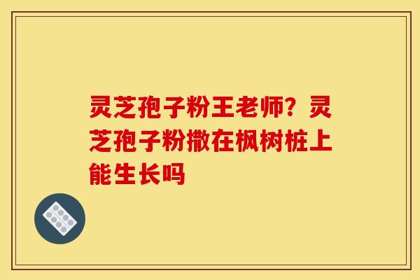 灵芝孢子粉王老师?灵芝孢子粉撒在枫树桩上能生长吗 灵芝孢子粉王老师?灵芝孢子粉撒在枫树桩上能生长吗