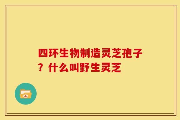 四环生物制造灵芝孢子?什么叫野生灵芝 四环生物制造灵芝孢子?什么叫野生灵芝