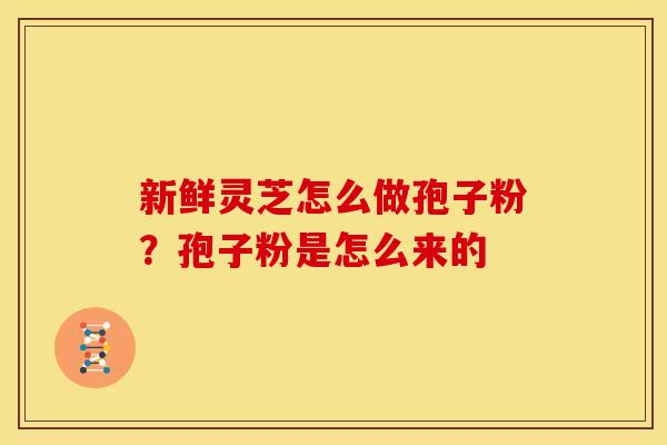 新鲜灵芝怎么做孢子粉？孢子粉是怎么来的