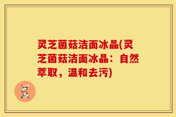 灵芝菌菇洁面冰晶(灵芝菌菇洁面冰晶:自然萃取,温和去污) 灵芝菌菇洁面冰晶(灵芝菌菇洁面冰晶:自然萃取,温和去污)