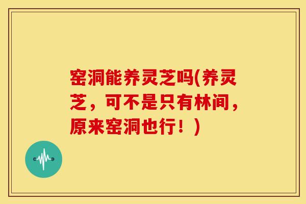 窑洞能养灵芝吗(养灵芝,可不是只有林间,原来窑洞也行!) 窑洞能养灵芝吗(养灵芝,可不是只有林间,原来窑洞也行!)