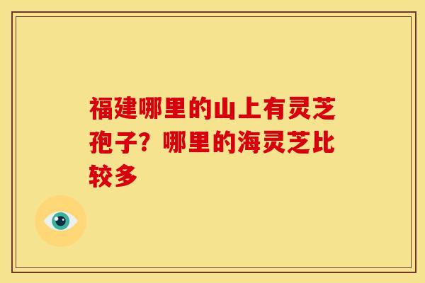 福建哪里的山上有灵芝孢子?哪里的海灵芝比较多 福建哪里的山上有灵芝孢子?哪里的海灵芝比较多