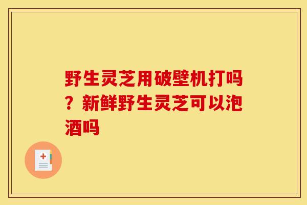 野生灵芝用破壁机打吗?新鲜野生灵芝可以泡酒吗 野生灵芝用破壁机打吗?新鲜野生灵芝可以泡酒吗