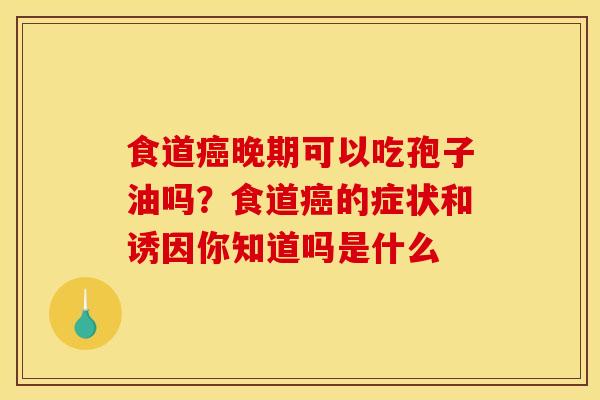 食道晚期可以吃孢子油吗?食道的症状和诱因你知道吗是什么 食道晚期可以吃孢子油吗?食道的症状和诱因你知道吗是什么
