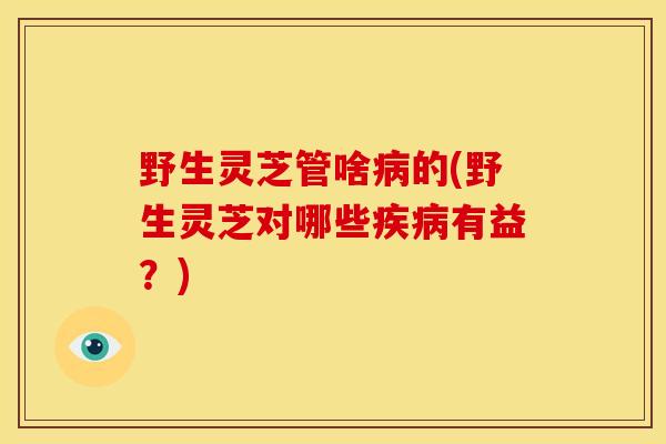 野生灵芝管啥的(野生灵芝对哪些有益?) 野生灵芝管啥的(野生灵芝对哪些有益?)