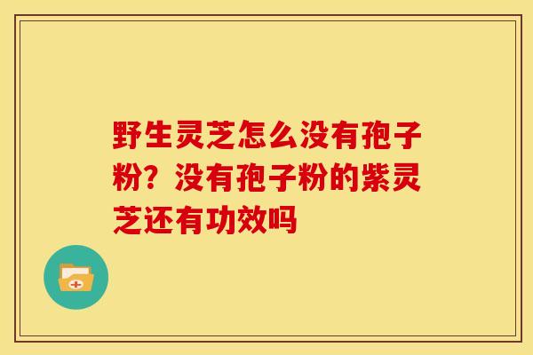 野生灵芝怎么没有孢子粉?没有孢子粉的紫灵芝还有功效吗 野生灵芝怎么没有孢子粉?没有孢子粉的紫灵芝还有功效吗