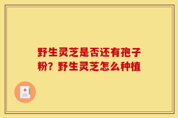 野生灵芝是否还有孢子粉？野生灵芝怎么种植