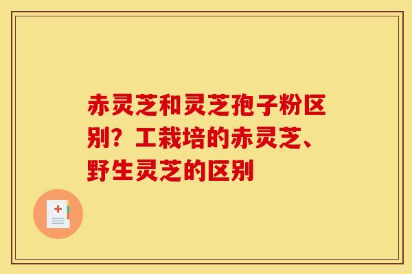 赤灵芝和灵芝孢子粉区别？工栽培的赤灵芝、野生灵芝的区别