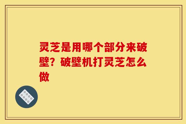 灵芝是用哪个部分来破壁？破壁机打灵芝怎么做