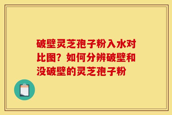 破壁灵芝孢子粉入水对比图?如何分辨破壁和没破壁的灵芝孢子粉 破壁灵芝孢子粉入水对比图?如何分辨破壁和没破壁的灵芝孢子粉