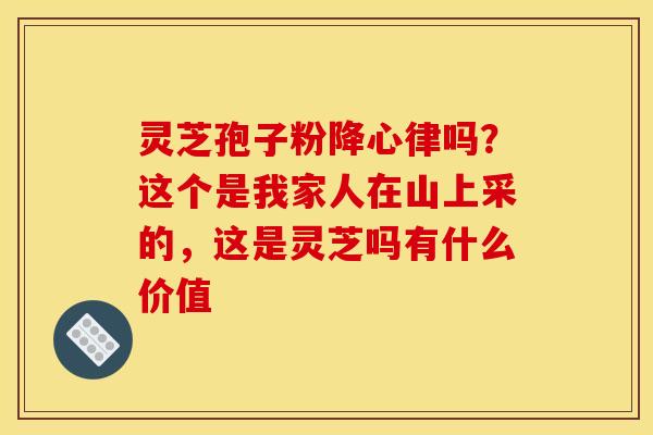 灵芝孢子粉降心律吗?这个是我家人在山上采的,这是灵芝吗有什么价值 灵芝孢子粉降心律吗?这个是我家人在山上采的,这是灵芝吗有什么价值