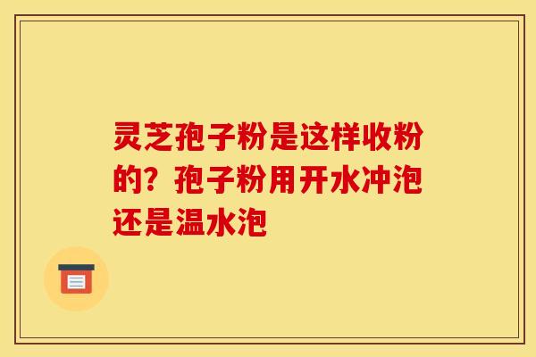 灵芝孢子粉是这样收粉的?孢子粉用开水冲泡还是温水泡 灵芝孢子粉是这样收粉的?孢子粉用开水冲泡还是温水泡