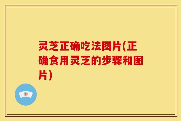 灵芝正确吃法图片(正确食用灵芝的步骤和图片) 灵芝正确吃法图片(正确食用灵芝的步骤和图片)
