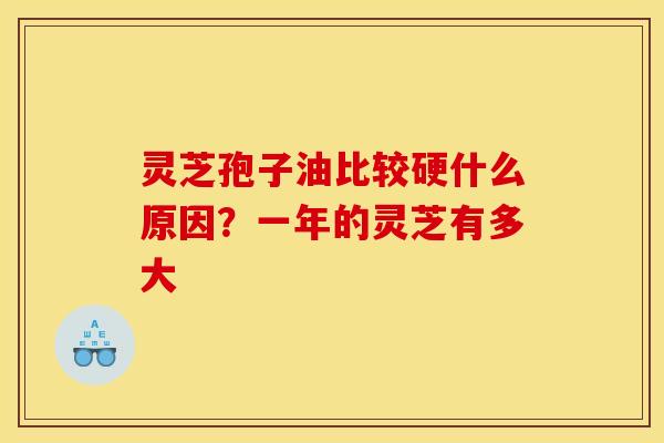 灵芝孢子油比较硬什么原因?一年的灵芝有多大 灵芝孢子油比较硬什么原因?一年的灵芝有多大