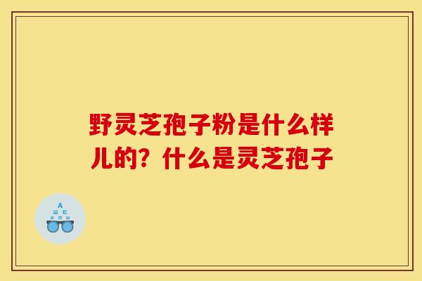野灵芝孢子粉是什么样儿的?什么是灵芝孢子 野灵芝孢子粉是什么样儿的?什么是灵芝孢子