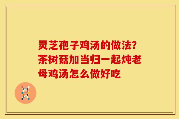 灵芝孢子鸡汤的做法?茶树菇加当归一起炖老母鸡汤怎么做好吃 灵芝孢子鸡汤的做法?茶树菇加当归一起炖老母鸡汤怎么做好吃