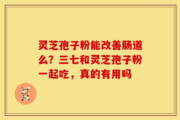 灵芝孢子粉能改善肠道么?三七和灵芝孢子粉一起吃,真的有用吗 灵芝孢子粉能改善肠道么?三七和灵芝孢子粉一起吃,真的有用吗