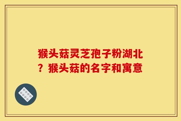 猴头菇灵芝孢子粉湖北?猴头菇的名字和寓意 猴头菇灵芝孢子粉湖北?猴头菇的名字和寓意