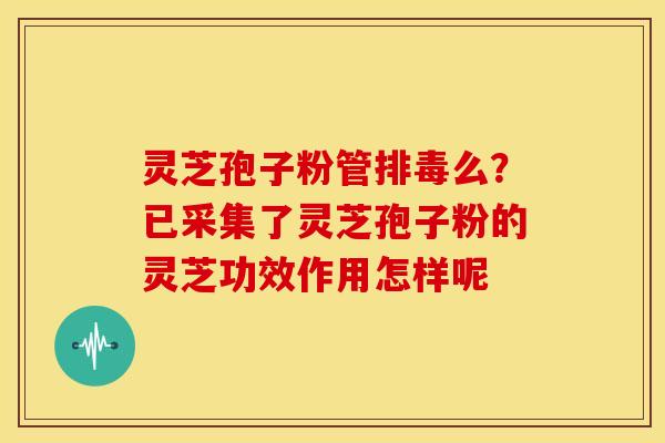 灵芝孢子粉管么?已采集了灵芝孢子粉的灵芝功效作用怎样呢 灵芝孢子粉管么?已采集了灵芝孢子粉的灵芝功效作用怎样呢