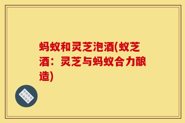 蚂蚁和灵芝泡酒(蚁芝酒:灵芝与蚂蚁合力酿造) 蚂蚁和灵芝泡酒(蚁芝酒:灵芝与蚂蚁合力酿造)