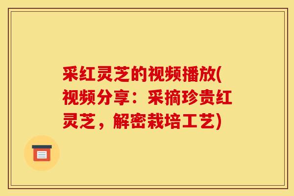 采红灵芝的视频播放(视频分享:采摘珍贵红灵芝,解密栽培工艺) 采红灵芝的视频播放(视频分享:采摘珍贵红灵芝,解密栽培工艺)