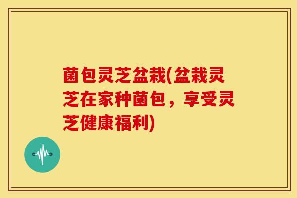 菌包灵芝盆栽(盆栽灵芝在家种菌包,享受灵芝健康福利) 菌包灵芝盆栽(盆栽灵芝在家种菌包,享受灵芝健康福利)