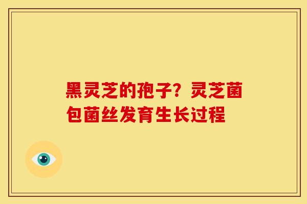 黑灵芝的孢子？灵芝菌包菌丝发育生长过程