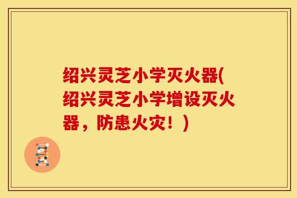 绍兴灵芝小学灭火器(绍兴灵芝小学增设灭火器,防患火灾!) 绍兴灵芝小学灭火器(绍兴灵芝小学增设灭火器,防患火灾!)