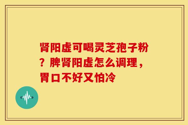 阳虚可喝灵芝孢子粉?脾阳虚怎么调理,胃口不好又怕冷 阳虚可喝灵芝孢子粉?脾阳虚怎么调理,胃口不好又怕冷